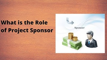 What is the role of Project Sponsor