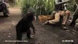 Funniest Video Ever - 1 (Monkey Ke Haat Me Rifle)