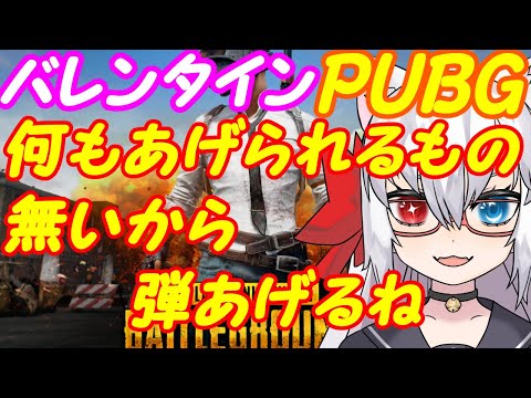 【PUBG】よわよわ猫のバレンタインお散歩！【VTuber】