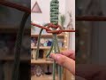 【マクラメ】平結びで紐が足りなくなった時に足す方法 How to add extra work cord if you run out. #macrame #shorts
