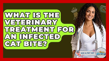 What Is The Veterinary Treatment For An Infected Cat Bite? - Ask A Pet Vet