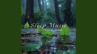 舒曼 兒時情景 夢幻曲