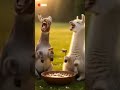 Bakri comedy 🐐💯😘😈