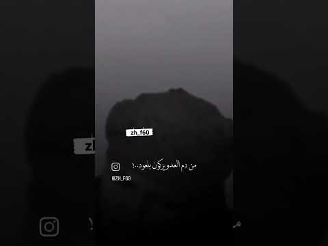 اهلنا العال بيهم يعبر حدود