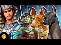 TOP 10 MOST ANCIENT DOG BREEDS