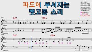조항조 목포항