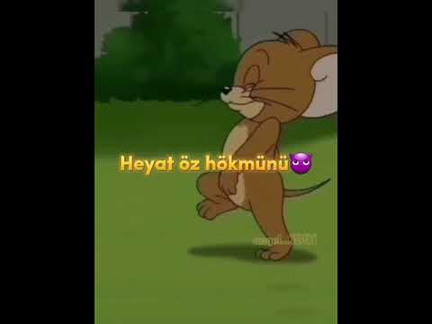 Meni terk eden insan nece pesman olacaq Whatsapp status