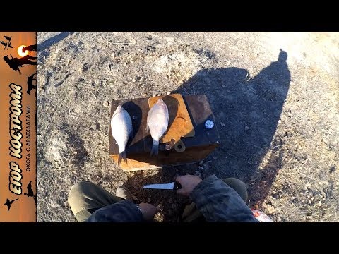 Лещ в углях. Рецепт
