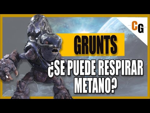 Video: ¿Se compró el estilo grunt?