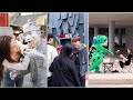 Chinese Frog And Funny Couple Douyin ❤️ Street Couple P#120