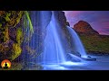 🔴 Sleep Music 24/7, Meditation Music, Yoga, Calming Music, Zen Music, Spa Music, Study Music, Sleep