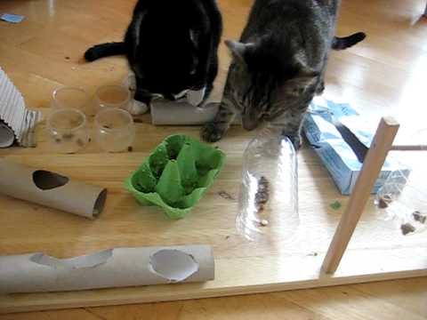 Fummelbrett für Katzen selbstgebastelt - YouTube