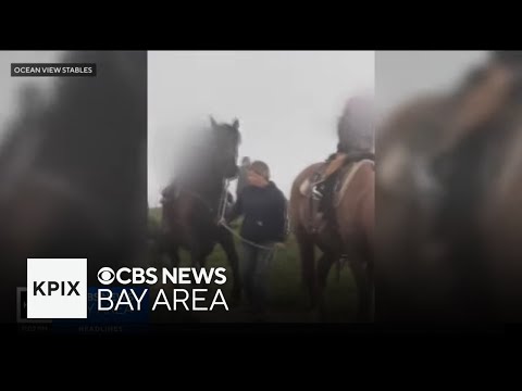 SF woman arrested,