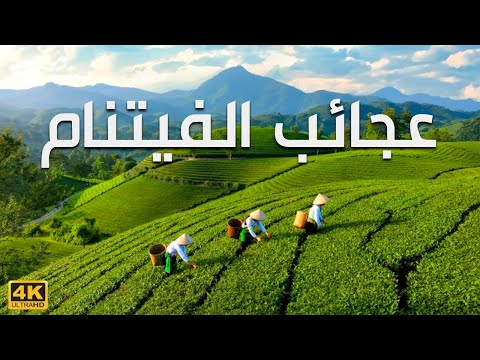 عجائب الفيتنام أروع الأماكن في الفيتنام وثائقي