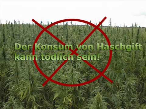Hasch