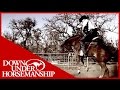 Clinton Anderson Presents: The Bucking Stops Here