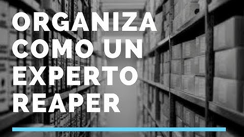 Maneja tus Archivos Perfectamente - Almacén de Proyecto - Tutorial Reaper En Español