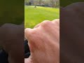 how's it mowing