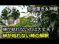 榊がずっと枯れないのは大丈夫？ 榊が枯れない時の解釈 神棚 飛鳥新社『悪い気は植物が吸ってくれる』