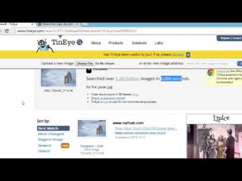 Video: Sådan Finder Du Et Lignende Billede På Internettet