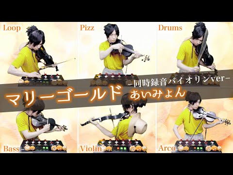 【マリーゴールド】0から創る音楽　カバーあいみょん　バイオリン