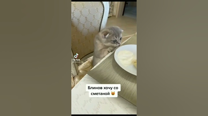 блин блины 😹😹😹