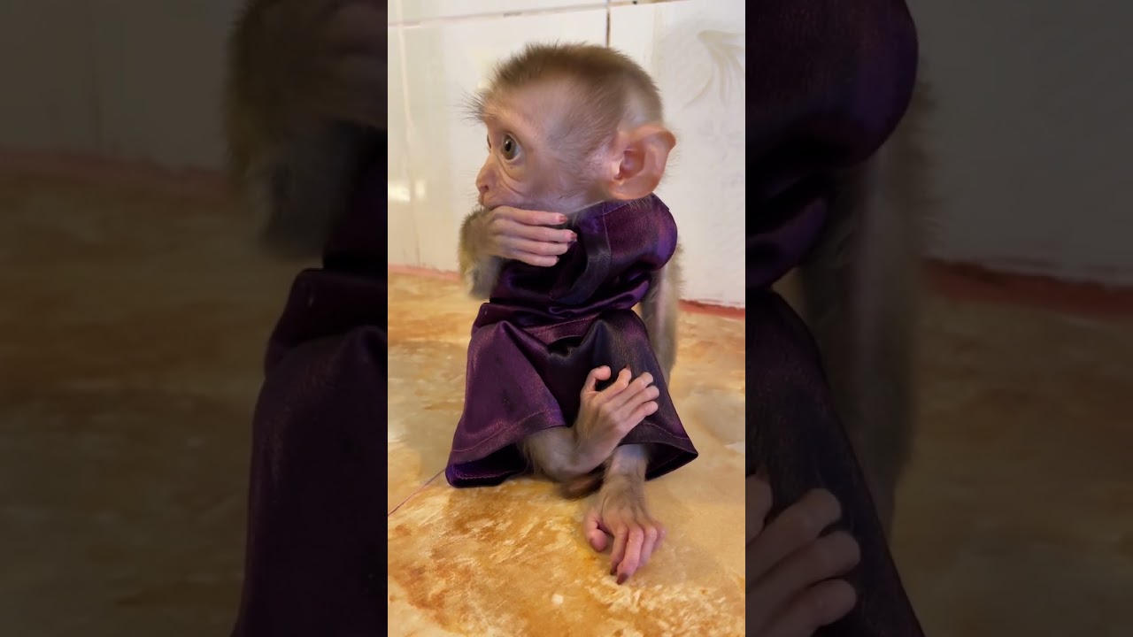 Mason So spoil & Naughty