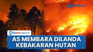 Kebakaran Hebat Landa AS, Hutan Seluas 25 Ribu Hektare Hangus saat Musim Dingin yang Kering