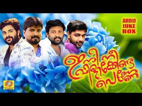 Ini Nee Vlikkenda Penne | New Romantic Mappila Album | Superhit Romantic Album | Popular Songs