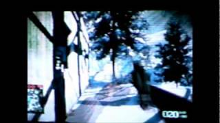 Battlefield Bad Company 2 Gun Glitch
