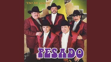 Mi nueva canción