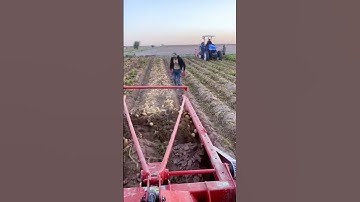 Machines Work #shorts #ytshorts #awesomemachines