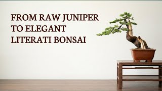 Download lagu From Raw Juniper to Elegant Literati Bonsai