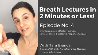 Breath Lectures in 2 Minutes or Less! Episode No. 4 - Cribriform Plate, Olfactory Nerves & Smell