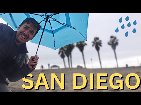 Rainy Day Exploring SAN DIEGO