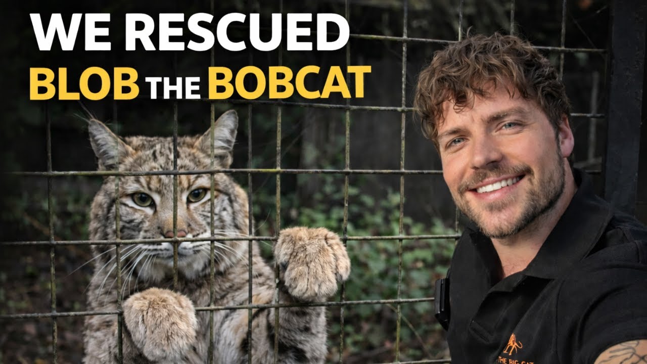 WE ALMOST LOST HIM… 🐾💔 | RESCUED