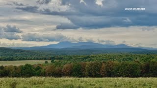 First look at foliage forecast for 2024