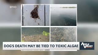 One dog dies from potentially toxic algae in Columbia River