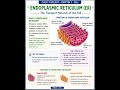 Endoplasmic reticulum class 9 chapter 1 #biology #cell #physics #chemistry #ncert #science #neet
