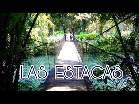 LAS ESTACAS MORELOS / Parque Natural las Estacas - YouTube
