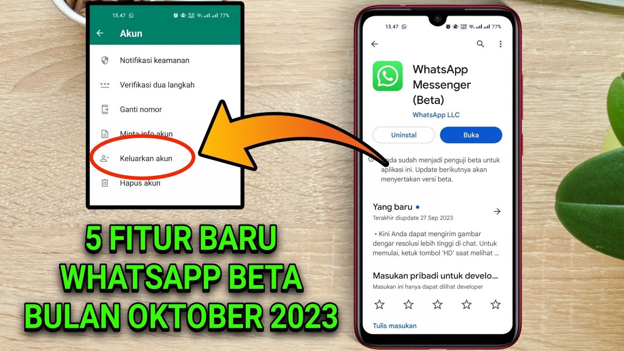 5 Fitur Baru Di WhatsApp Beta Oktober 2023 - YouTube