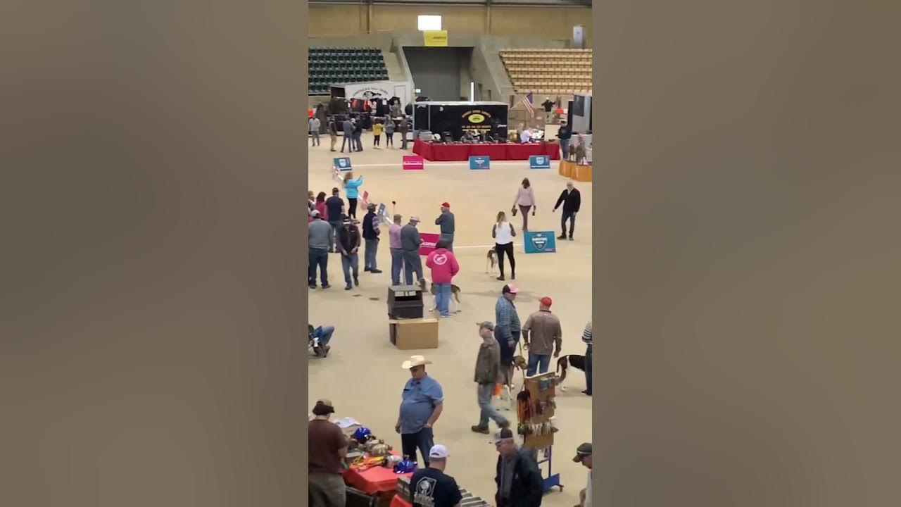 UKC Winter Classic Batesville Ms..UKC coonhunting coonhound dogtra