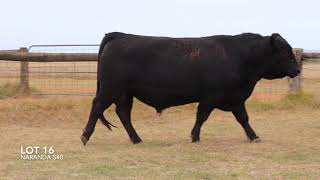 Lot 16   SD 480p