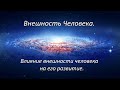 Внешность Человека. Влияние внешности человека на его развитие.