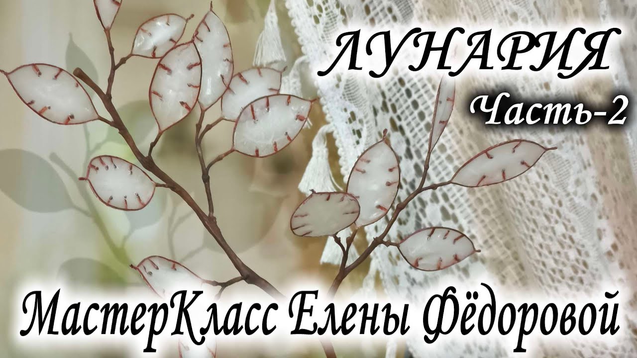 🌿МК Лунария - Часть 2🌿