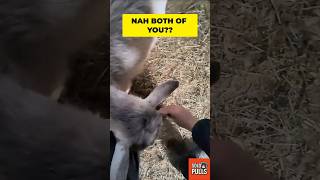 🐐 he showed up… then just LEFT?? 😭