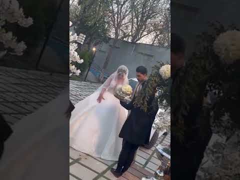 عروس داماد جشن شادی رقص رقص عروس خنده کلیپ کلیپ عروسی