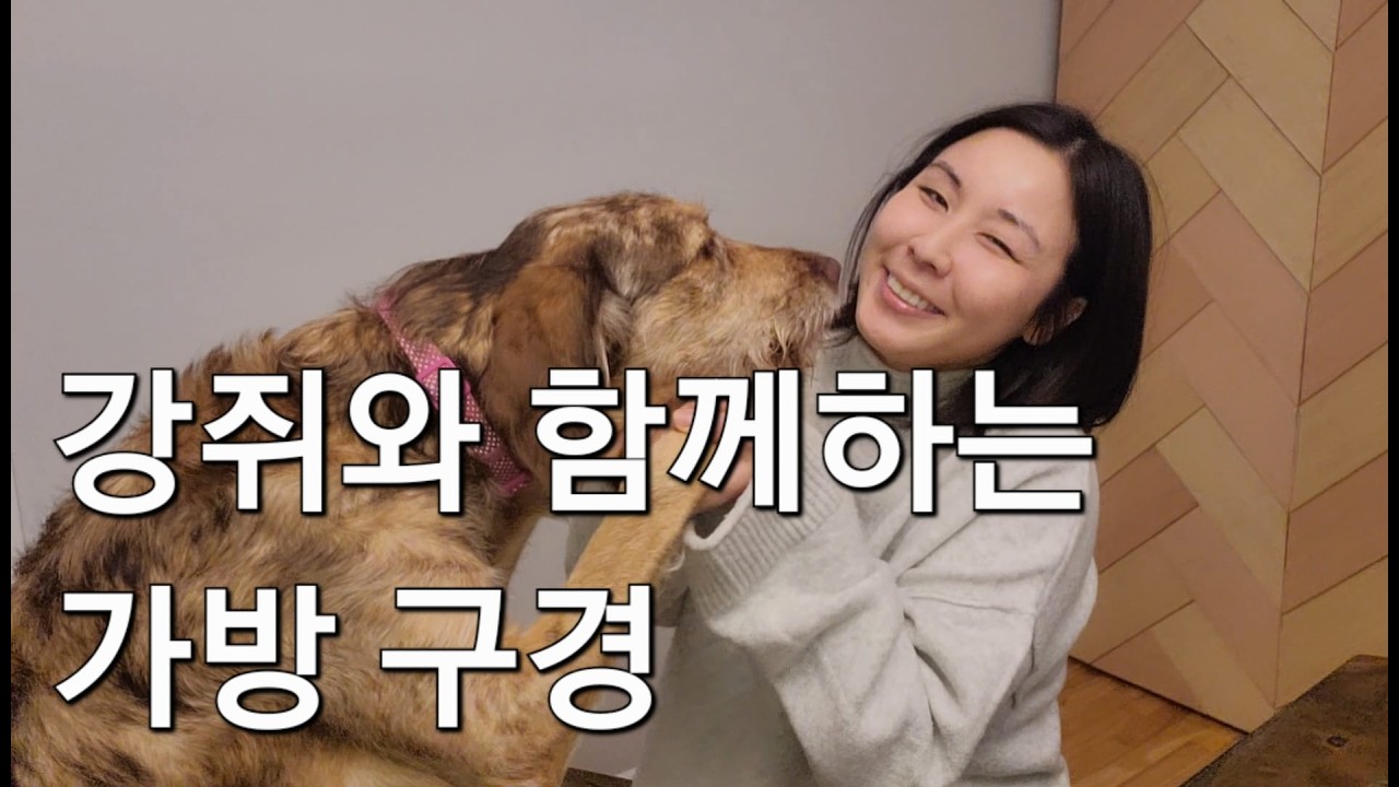 제 가방이랑 가방 속 구경하실 분