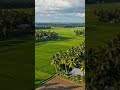 AI দিয়ে বানানো কেমন লেগেছে? #গ্রামবাংলা #BangladeshVillage #DroneShot #Nature #villagelife