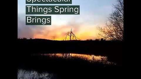Spectacular things spring brings